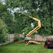 Best Tree Removal  in North Arlington, NJ